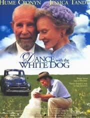 共舞人生路,探寻人生旅程中的和谐共鸣